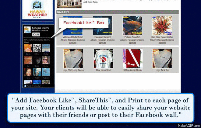 Social Media Integration