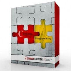 Custom PHP Programming